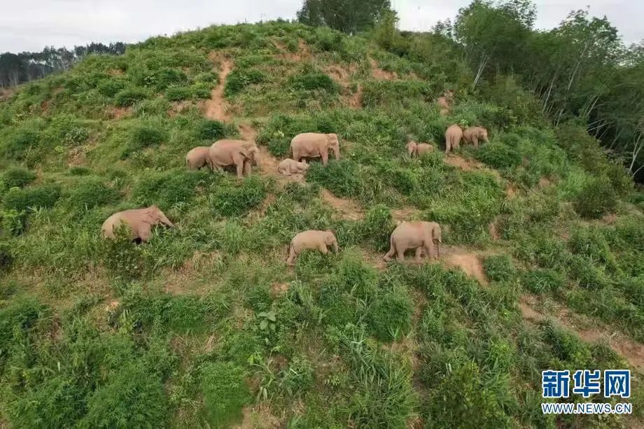 昆明信息港/cnkmxxg