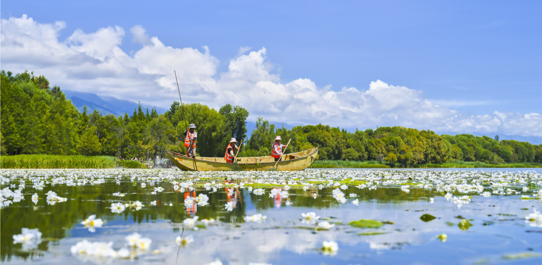 云南省人民政府网