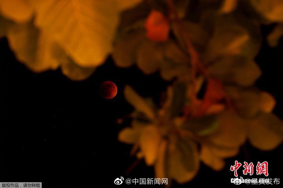 呈贡发布