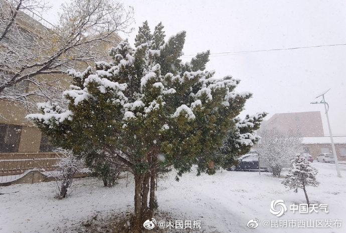 昆明市西山区发布