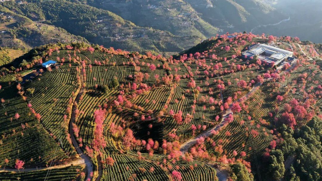 一部手机游云南