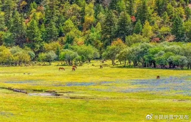 昆明晋宁发布