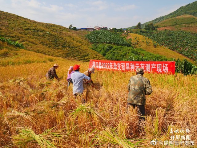 昆明晋宁发布