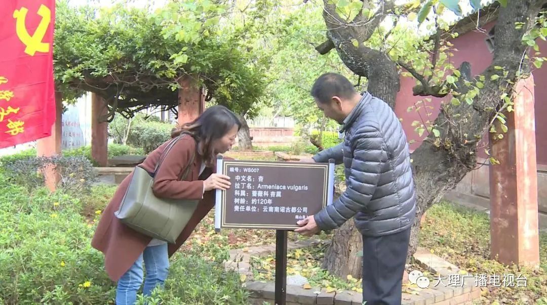 大理电视台