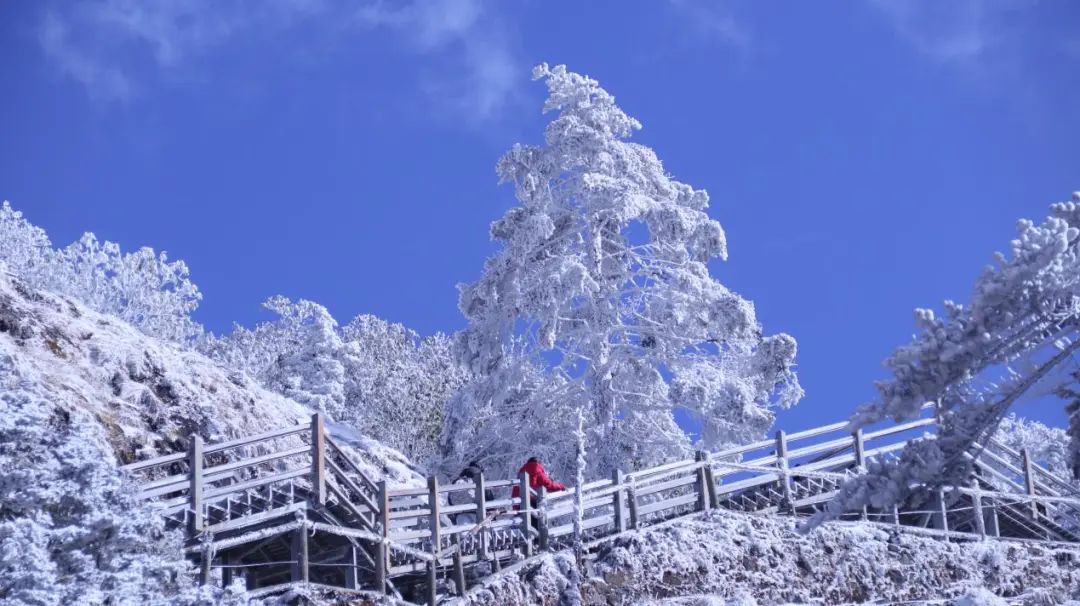昆明轿子山旅游