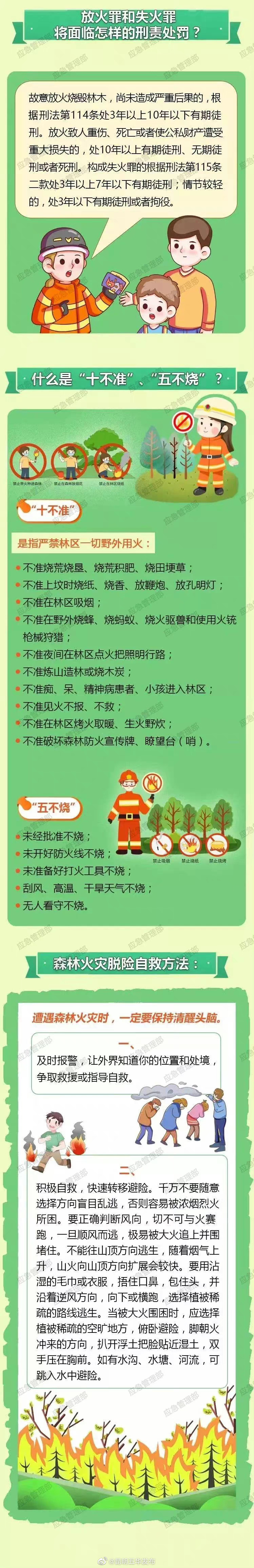 引发森林火灾将承担法律责任