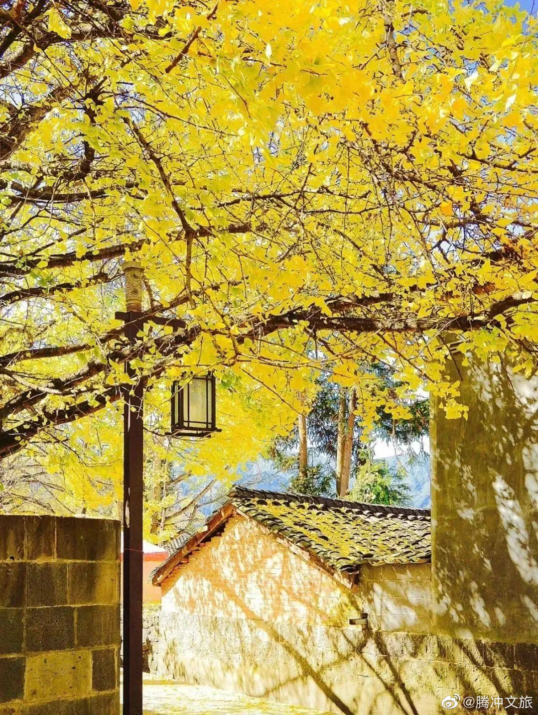 腾冲文旅微博