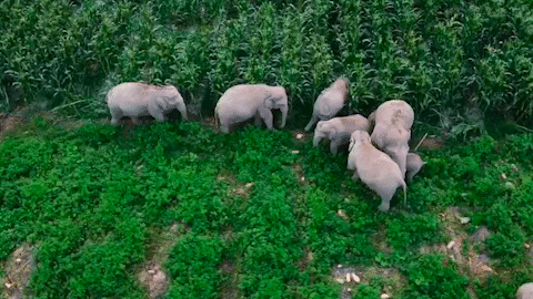 昆明信息港/cnkmxxg