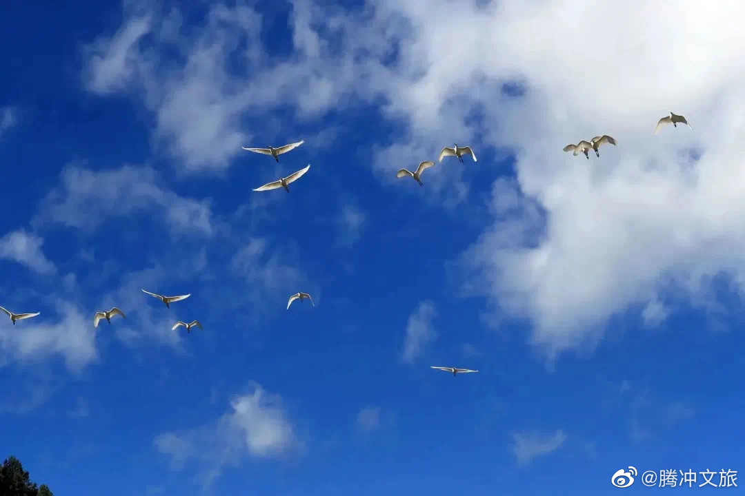 腾冲文旅微博