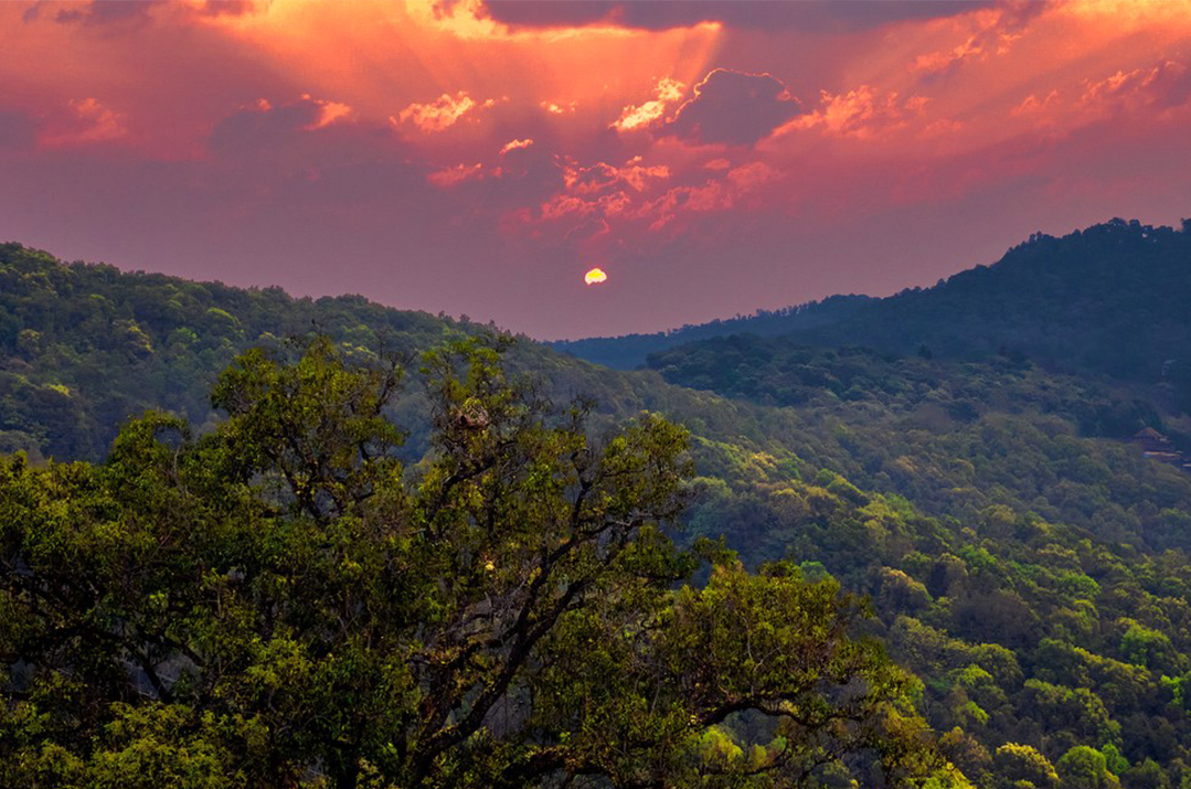 一部手机游云南