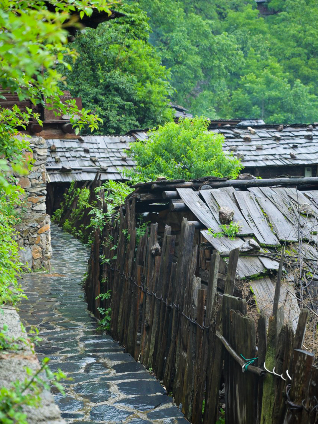 一部手机游云南