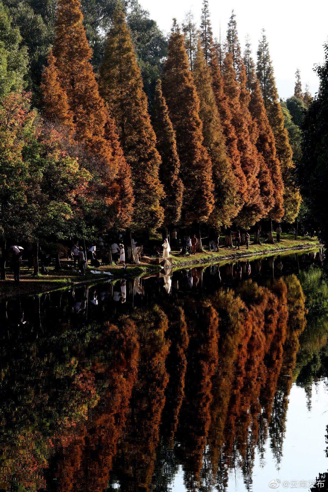 “云南发布”微博