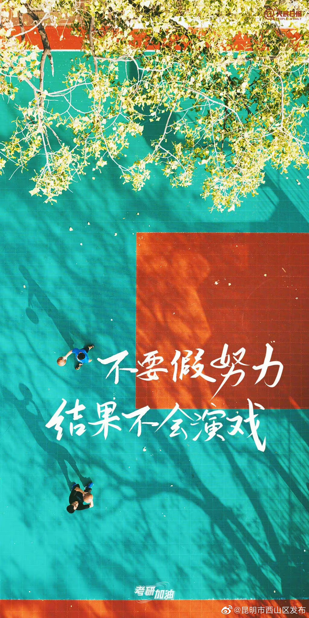 昆明市西山区发布