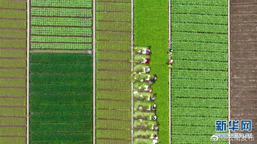 “云南发布”微博