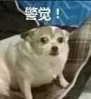 石林融媒