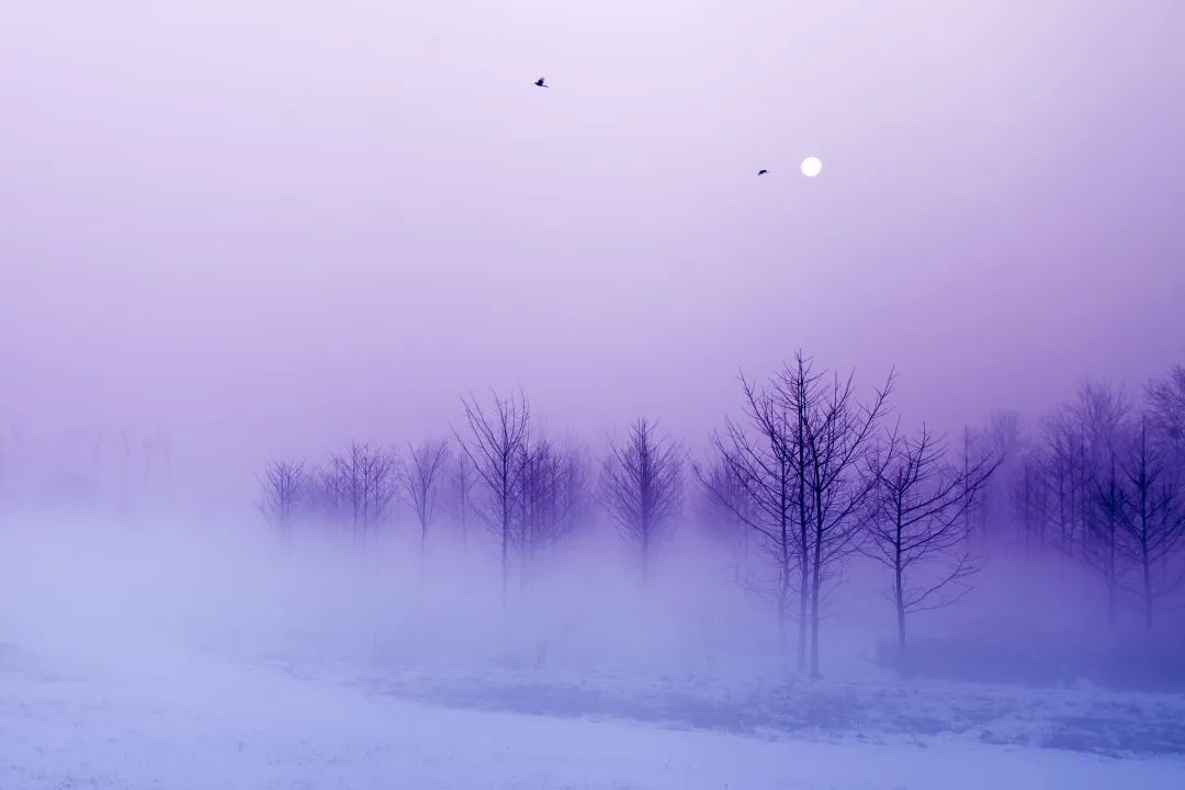 美丽云南微科普