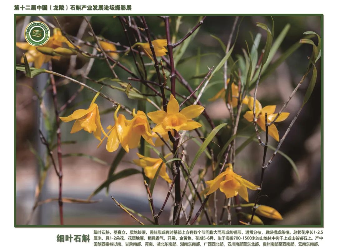 保山广播电视台