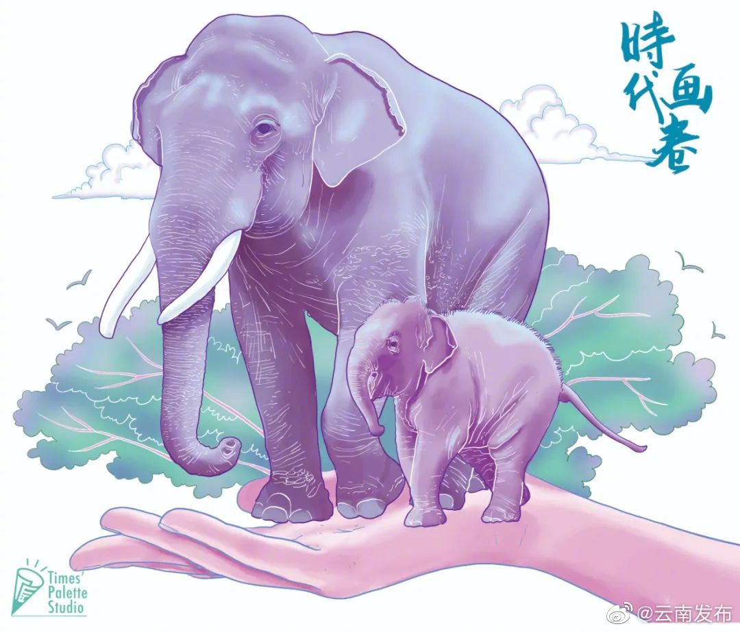 “云南发布”微博