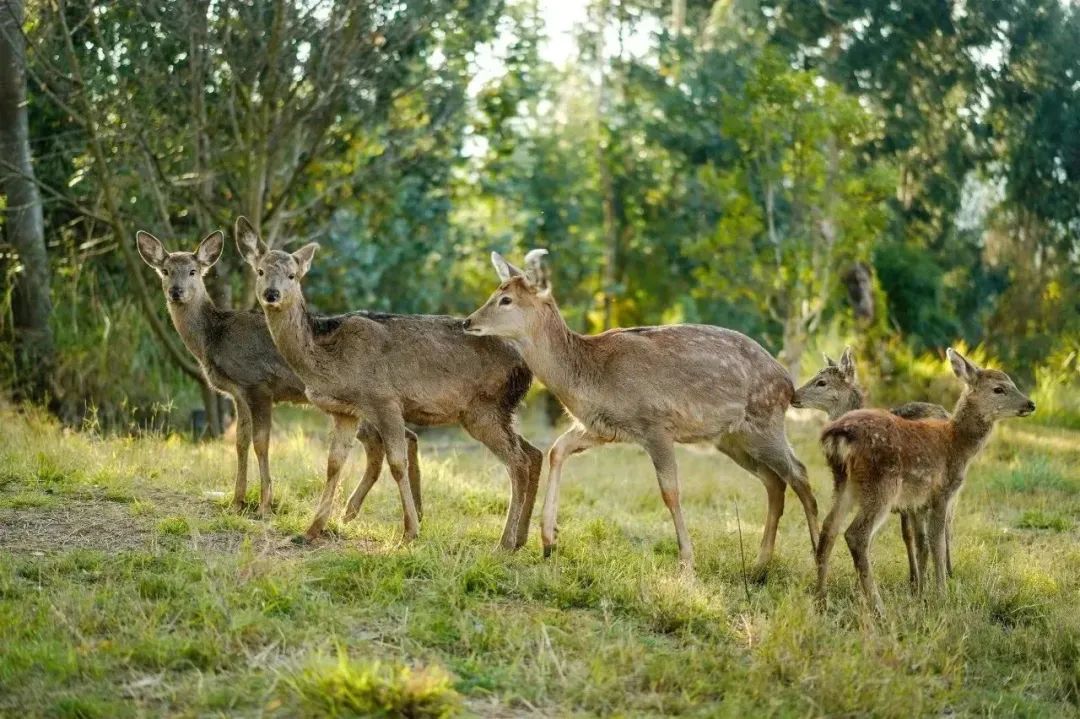 昆明阳宗海风景名胜区
