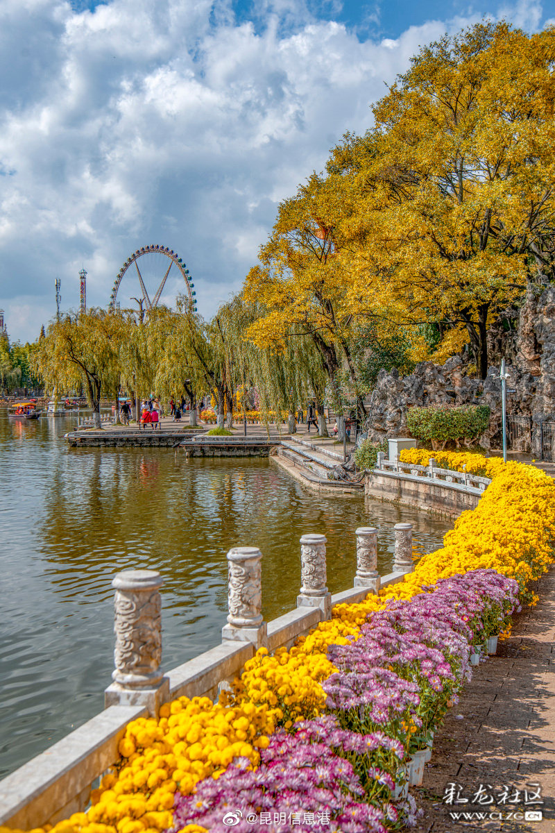 131 春城昆明冬季美景画卷 - 资讯频道