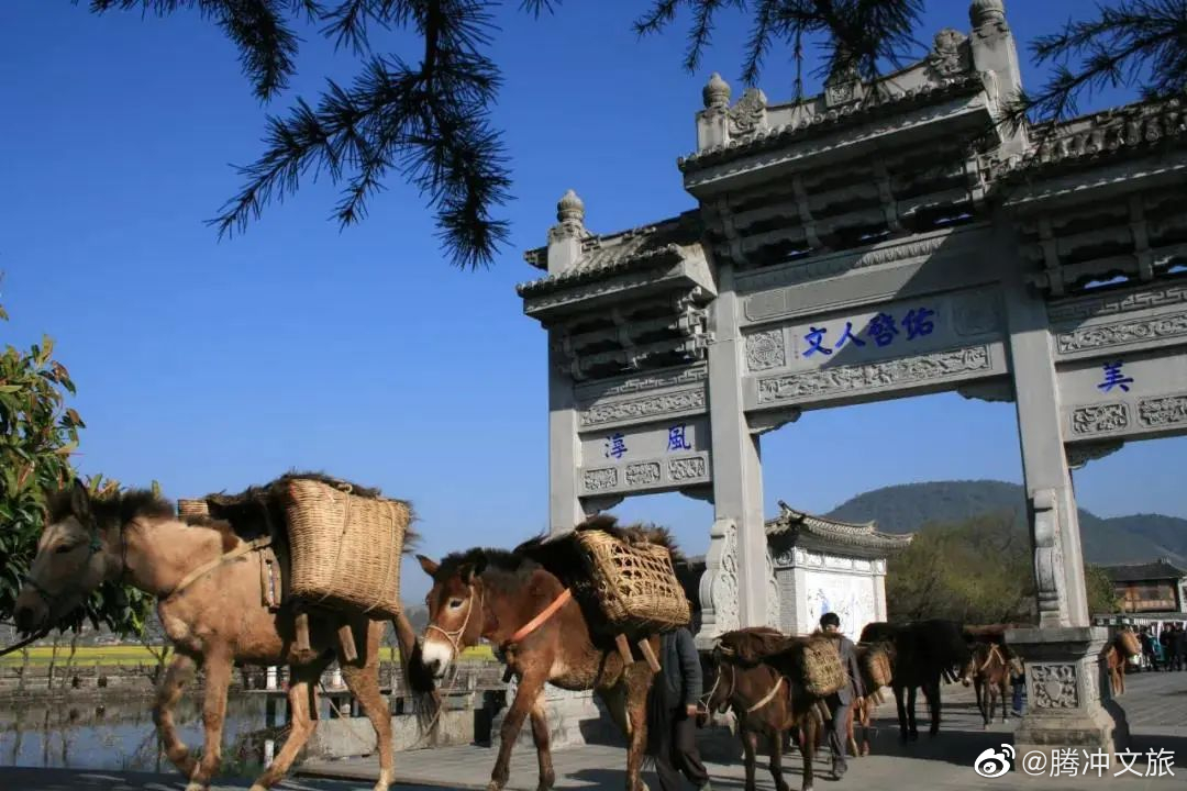 腾冲文旅微博