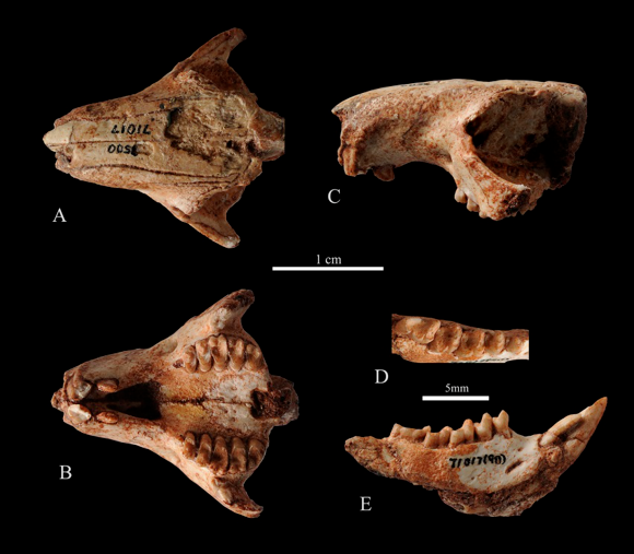美丽云南微科普