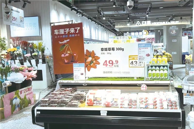 掌上春城