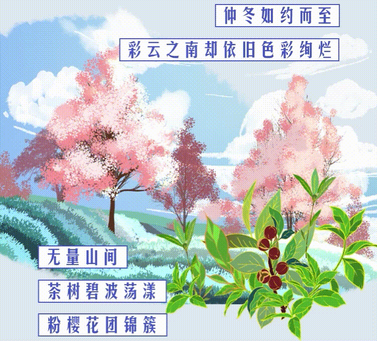 云南省人民政府网