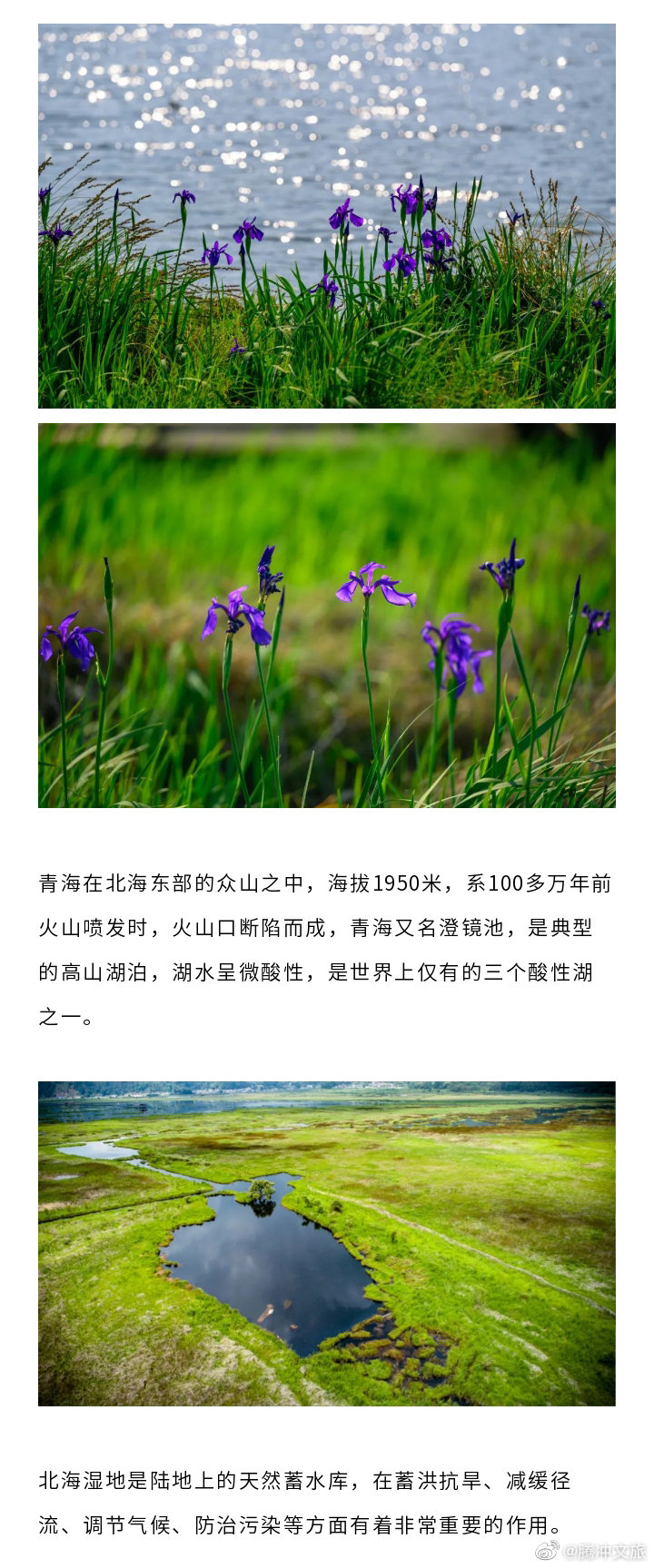 腾冲文旅微博