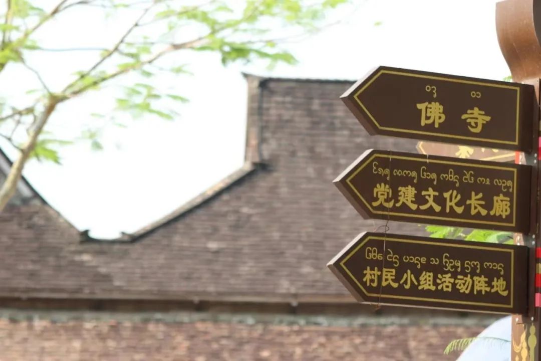 西双版纳先锋