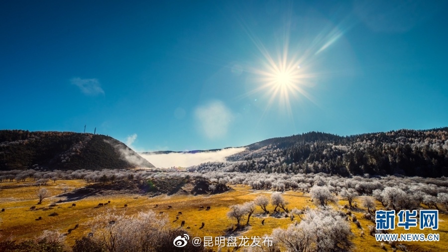 昆明盘龙发布