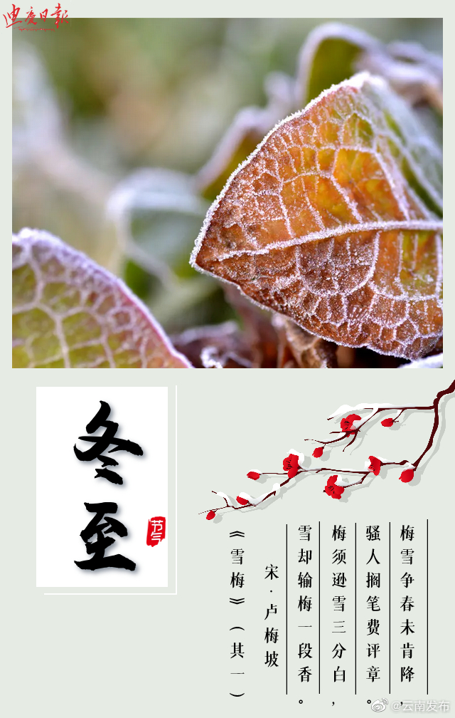 “云南发布”微博