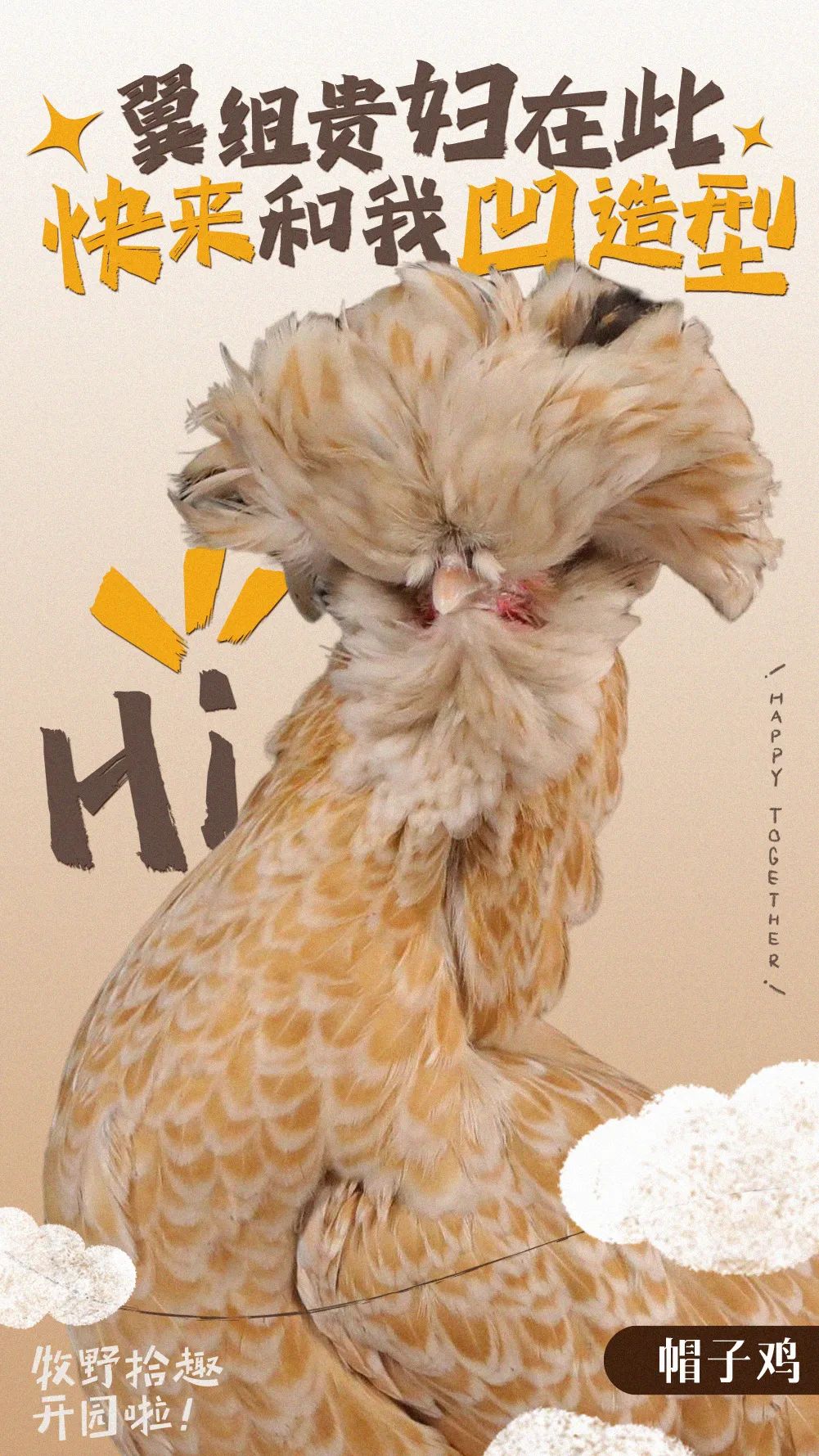 掌上春城