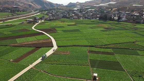 大理电视台