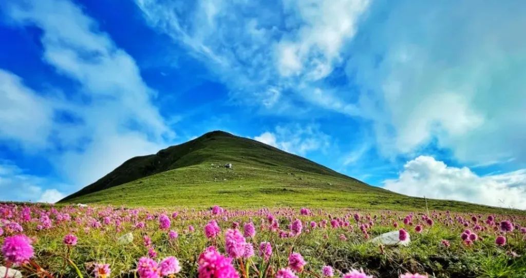 昆明文旅