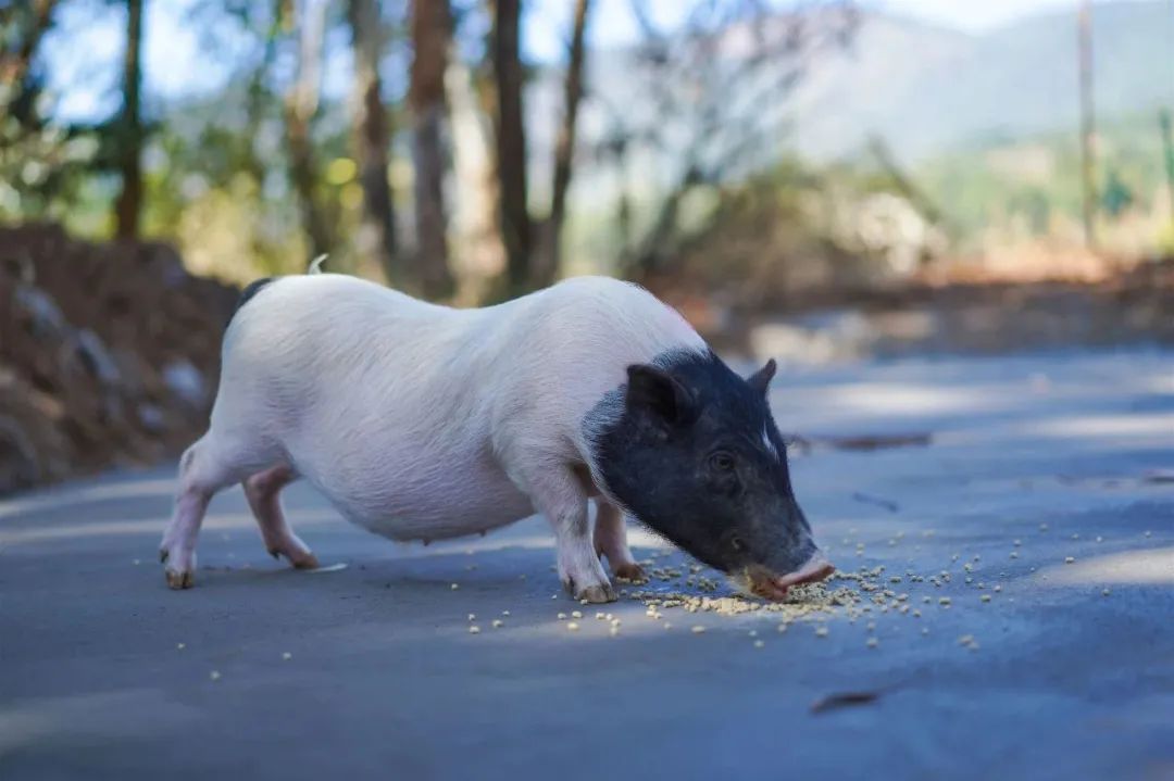 昆明阳宗海风景名胜区