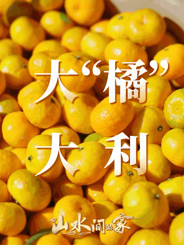新年谐音梗祝福请查收！
