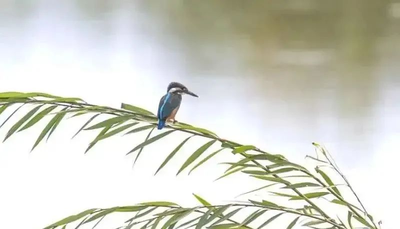 昆明文旅