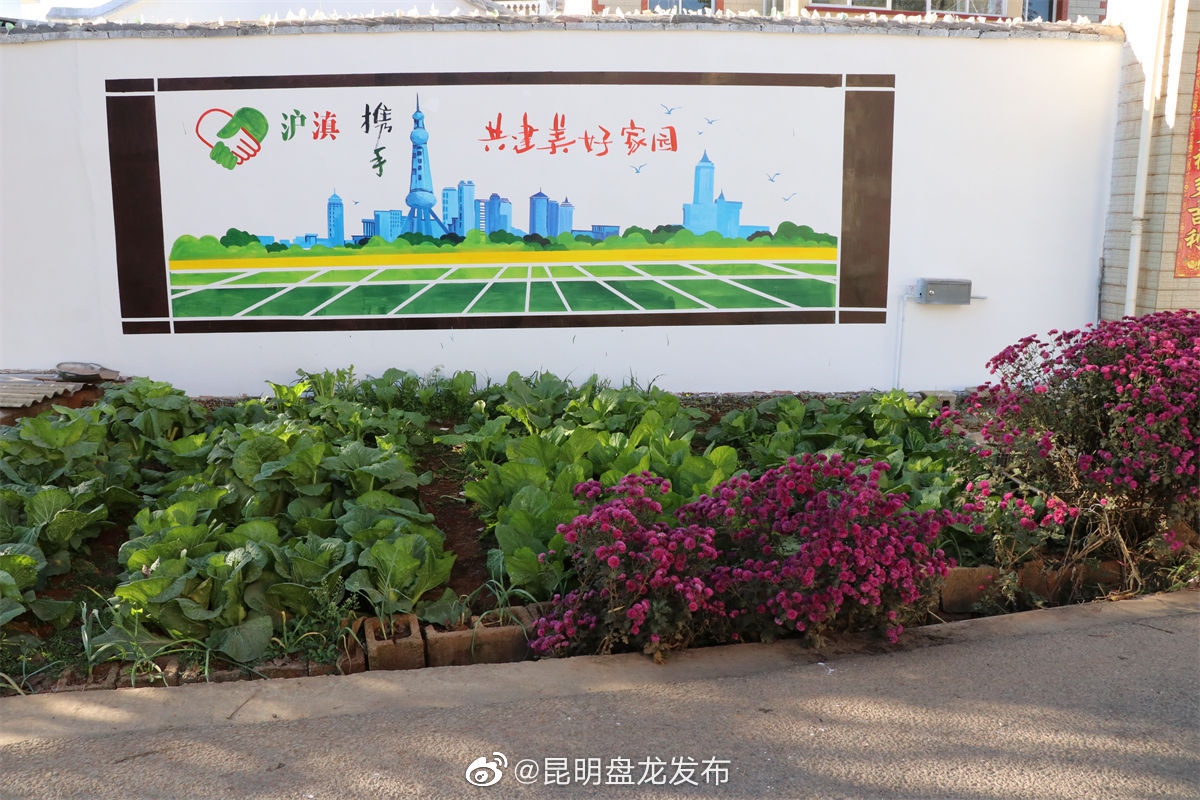 昆明盘龙发布