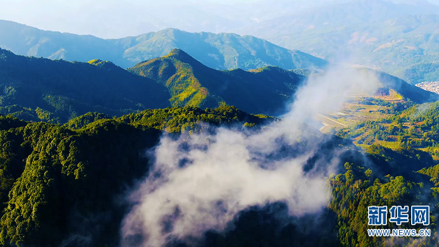 云南省文化和旅游厅