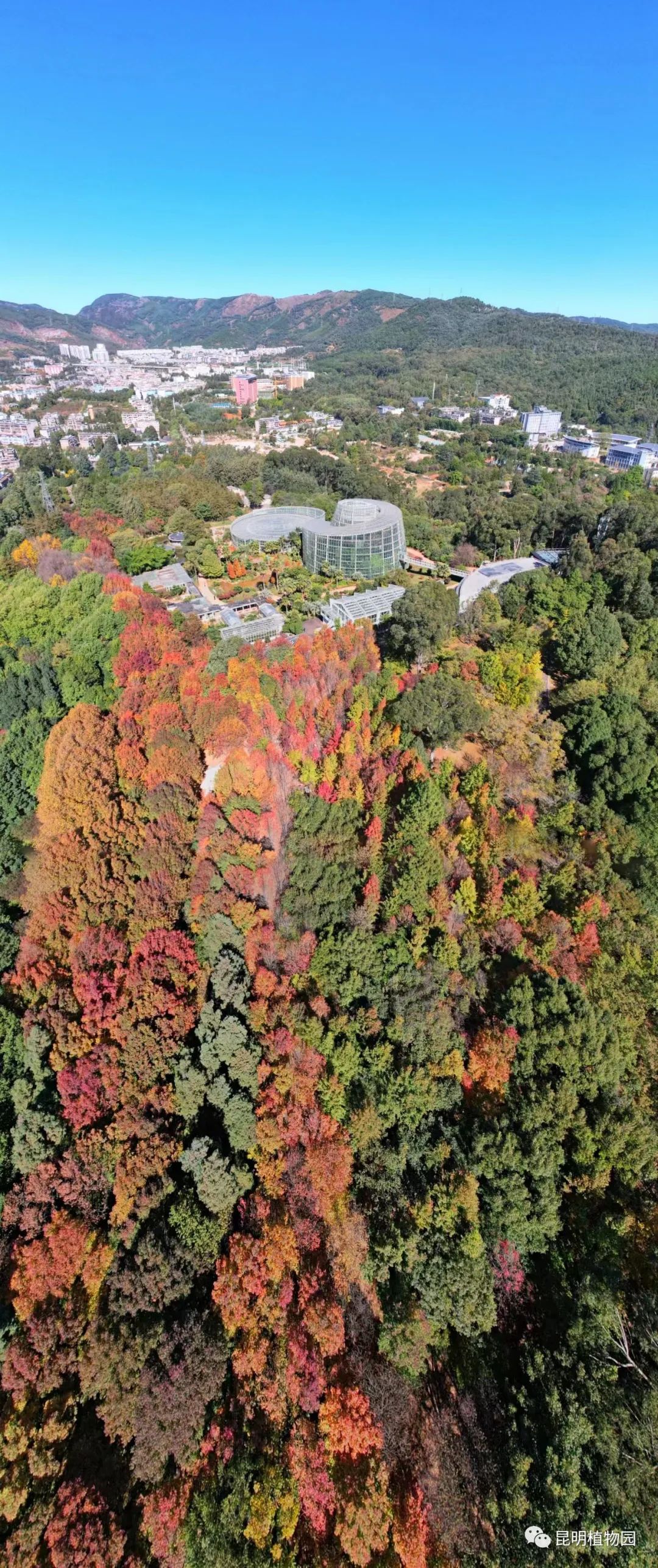 昆明植物园