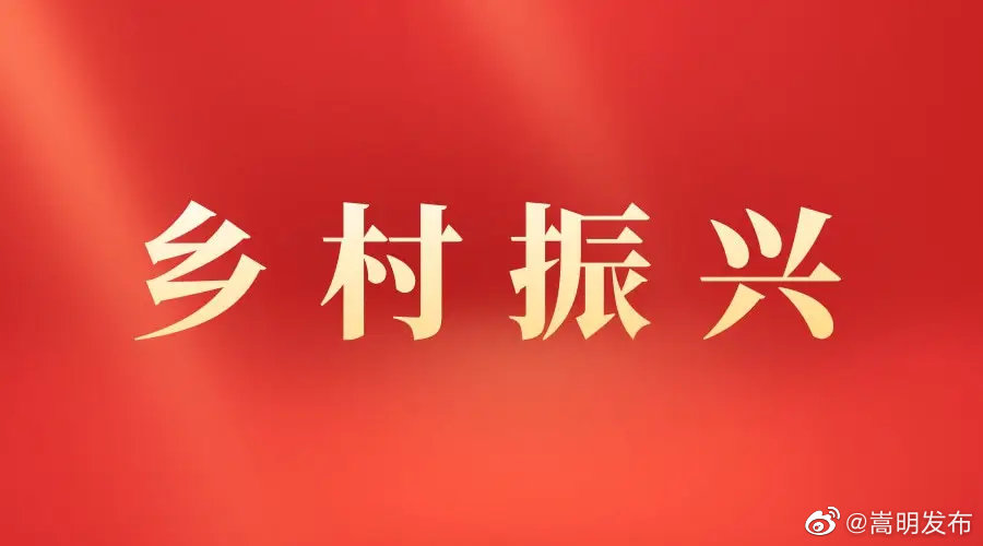 嵩明县为困难群众代缴养老保险费，助力乡村振兴