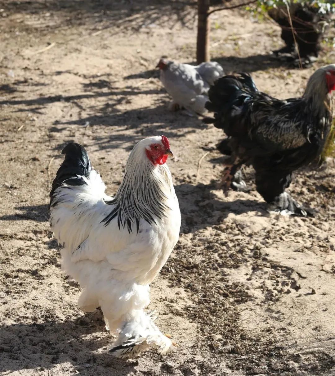 昆明阳宗海风景名胜区