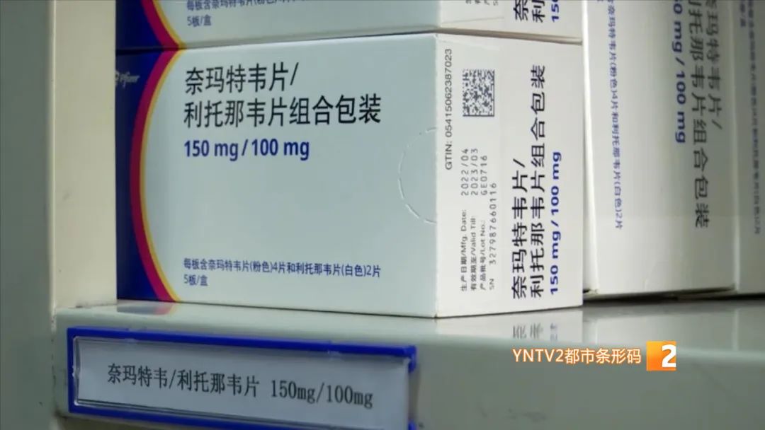 掌上春城