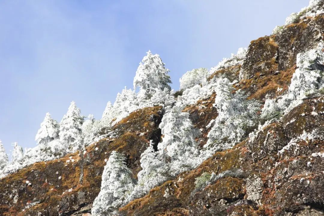 昆明轿子山旅游