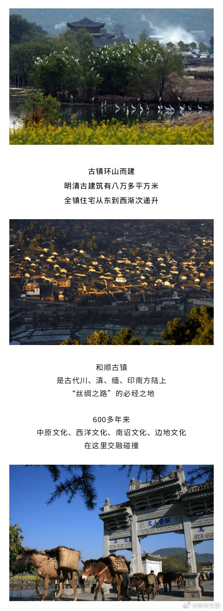 腾冲文旅微博
