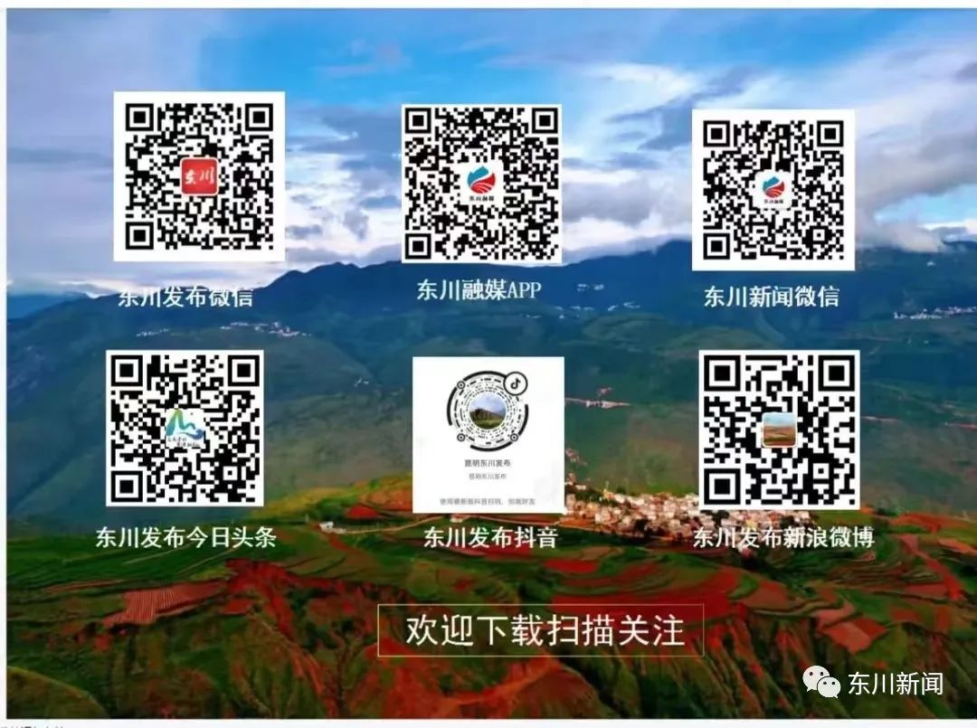 东川新闻