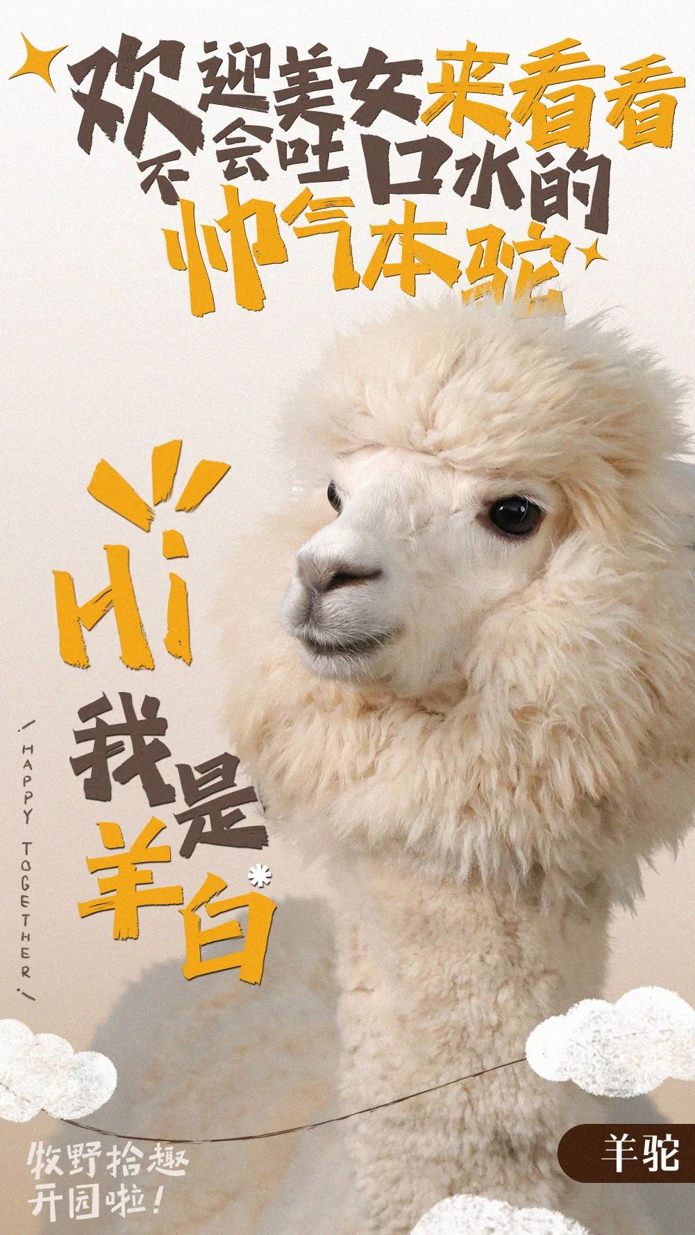 掌上春城