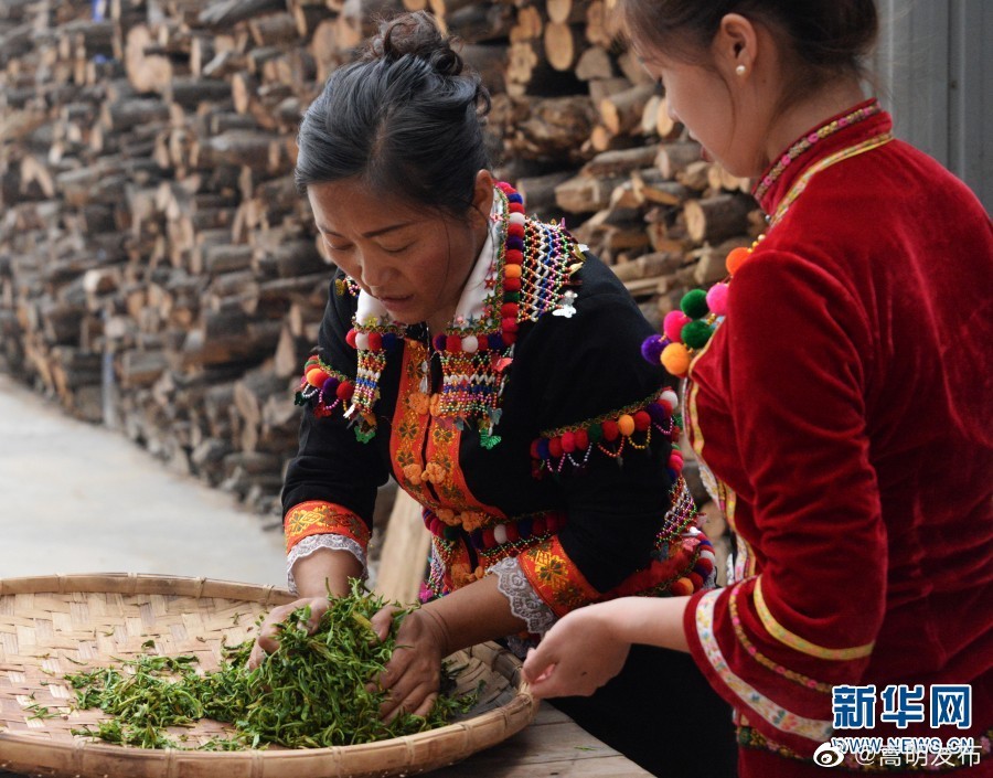嵩明发布
