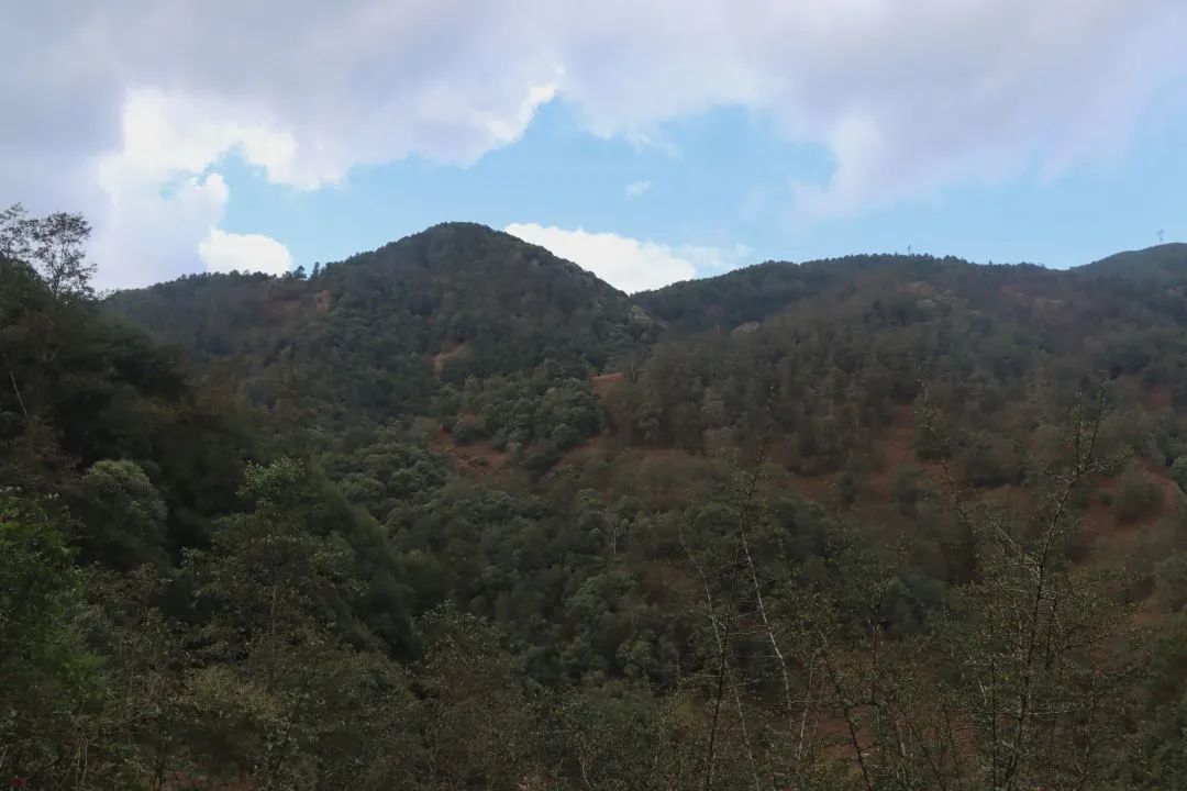 悦读嵩明